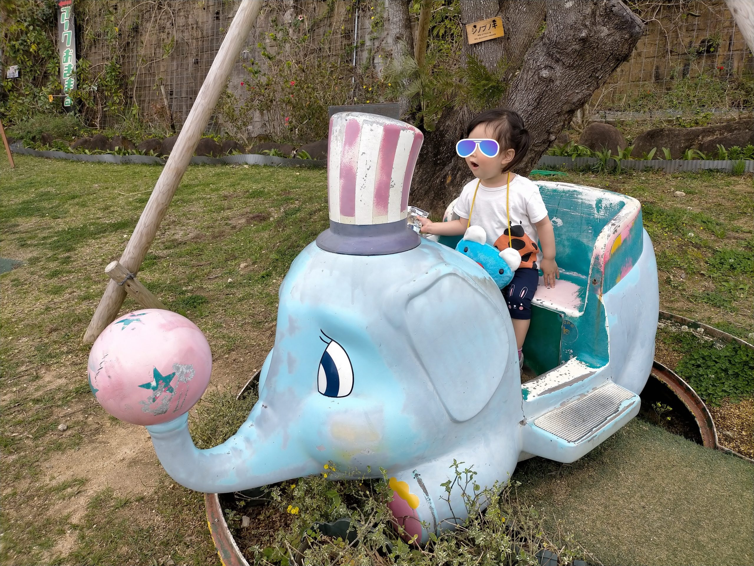 沖縄こどもの国_ゾウの乗り物