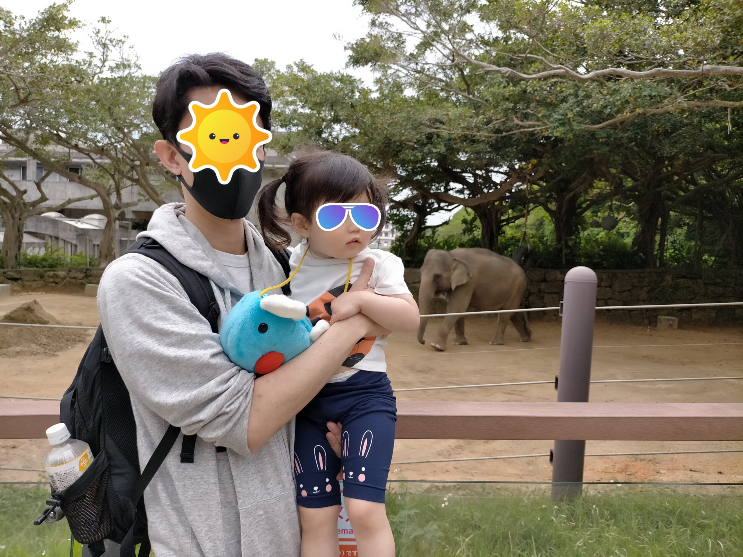 沖縄こどもの国_ゾウ